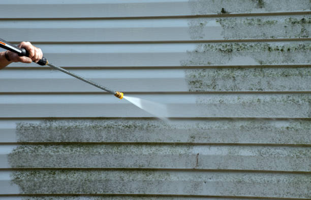 Best Deck Pressure Washing  in Grosse Pointe Woods, MI