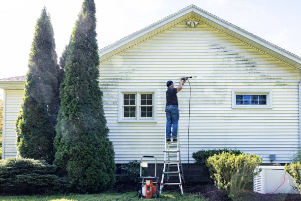 Best Residential Pressure Washing Services  in Grosse Pointe Woods, MI