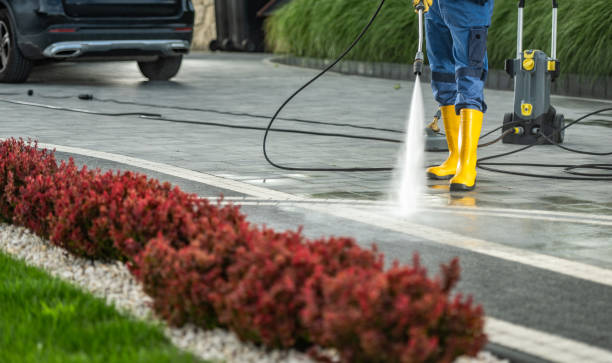 Best Best Pressure Washing Companies  in Grosse Pointe Woods, MI