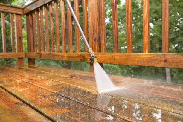 Best Affordable Pressure Washing  in Grosse Pointe Woods, MI