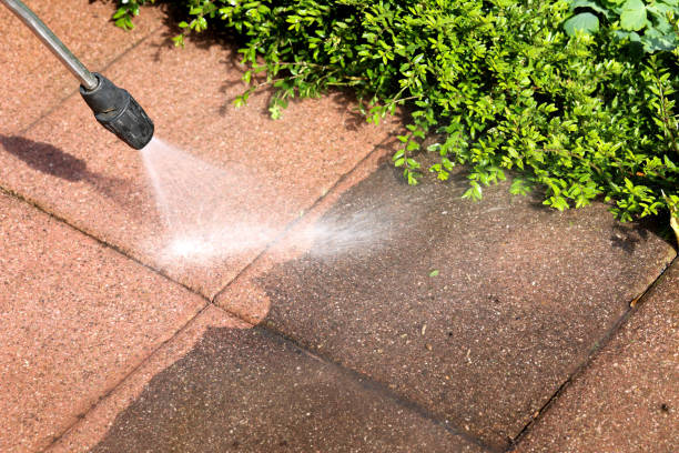 Best Pressure Washing Company Near Me  in Grosse Pointe Woods, MI