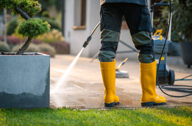 Best Affordable Power Washing  in Grosse Pointe Woods, MI